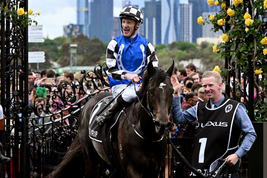 Gold Trip won the Melbourne Cup