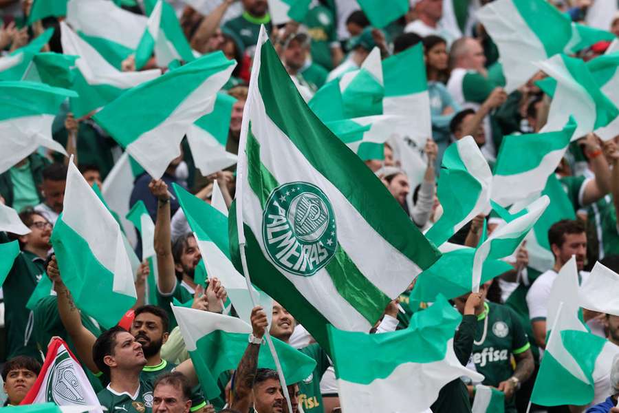 Torcida do Verdão lidera entre as brasileiras nos Estados Unidos