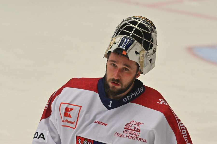 Brízgala v dresu české reprezentace.