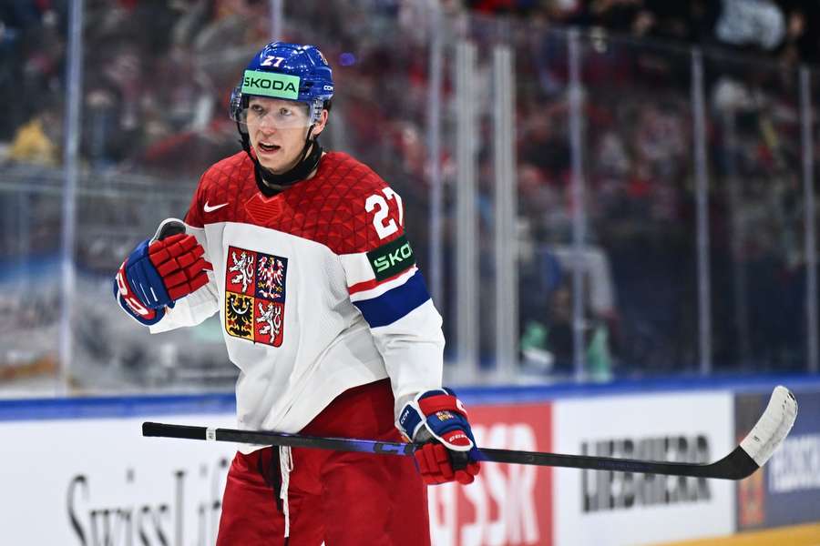 Alscher si chválí zkušenosti získané v NHL.