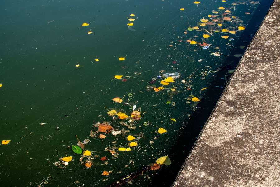 As águas do rio Sena estão bastante poluídas