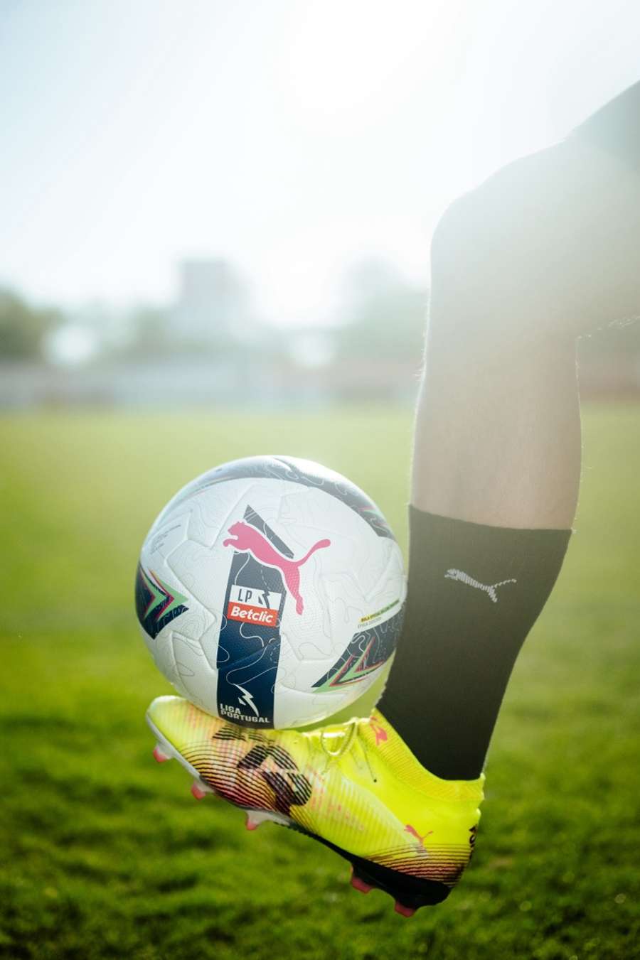 A nova Puma Orbita