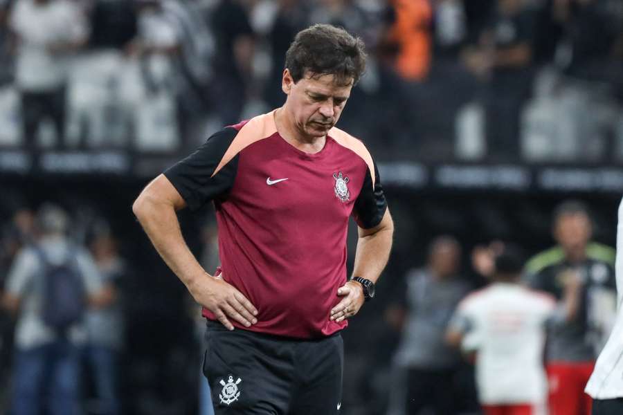 Diniz Diniz