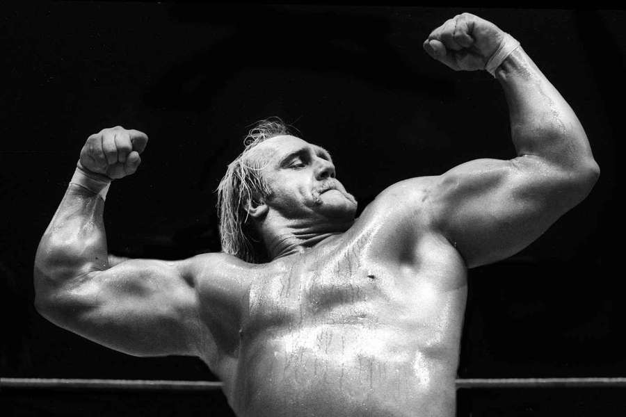 Hogan at Wrestlemania in 1985 Hogan at Wrestlemania in 1985