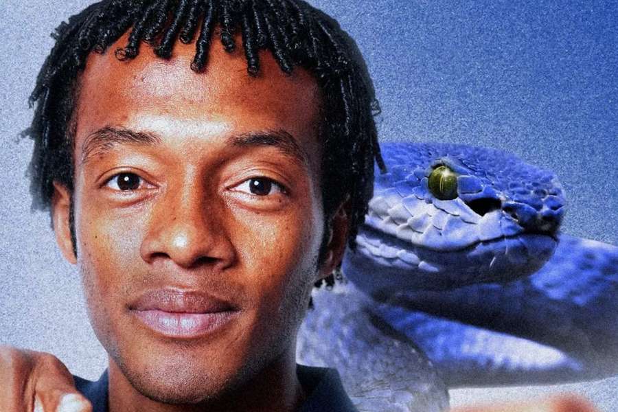 Cuadrado