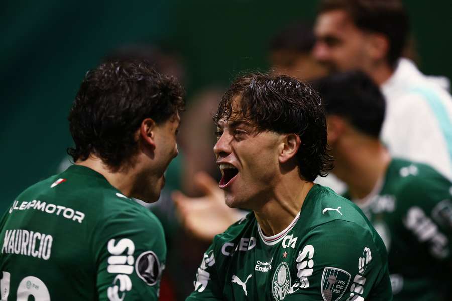 Palmeiras representará o Brasil na final da Libertadores desta temporada