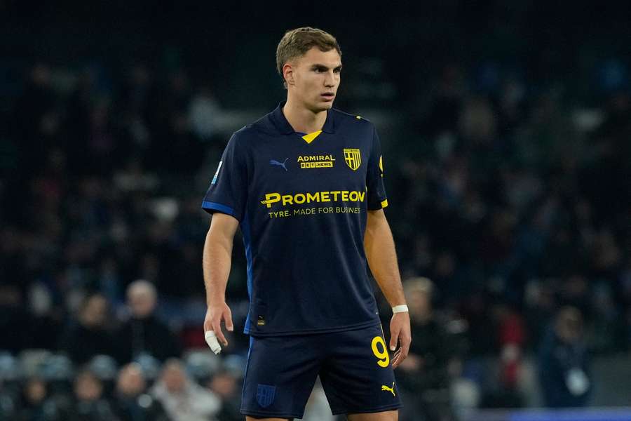 Mateo Pellegrino Mateo Pellegrino