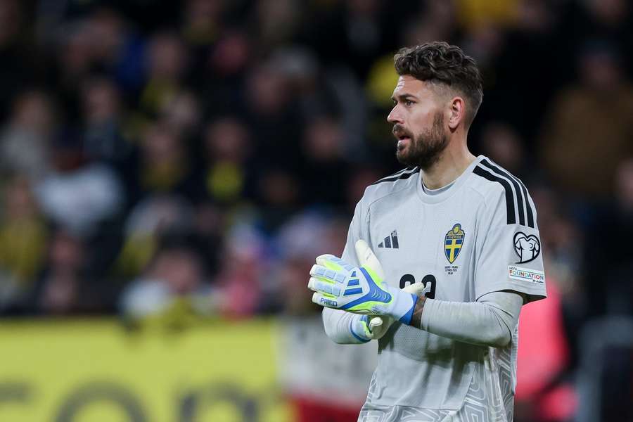 Kristoffer Nordfeldt during Sweden's win over Poland