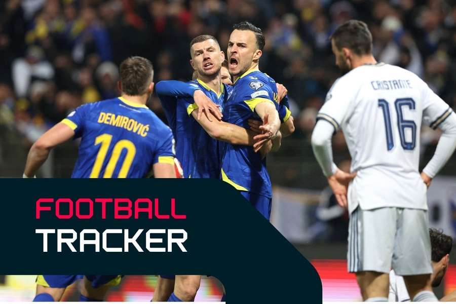 Bosnia celebrate their equaliser