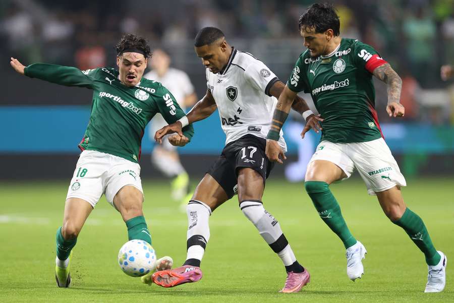 Botafogo x Palmeiras: onde assistir, horário e escalações de jogo do Brasileirão