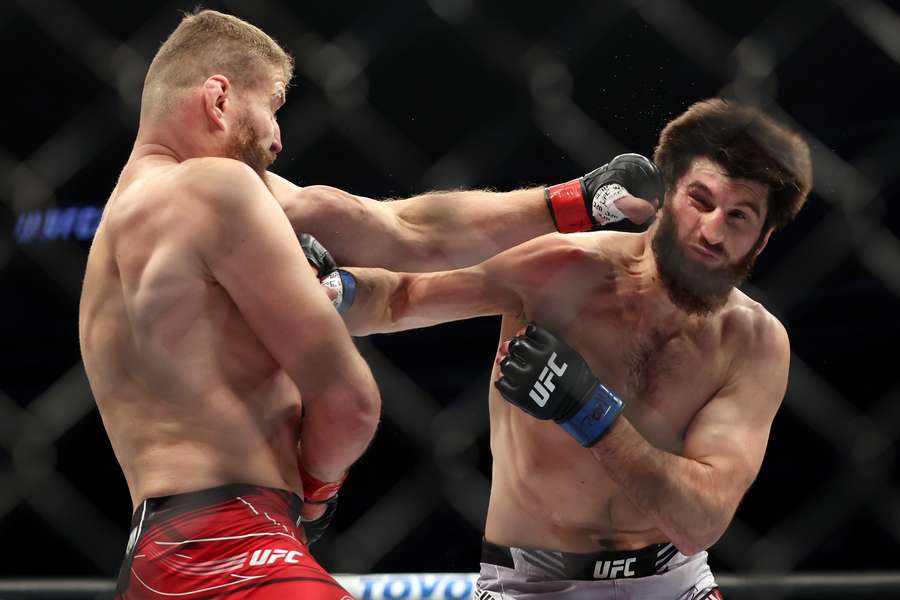 UFC: Blachowicz e Ankalaev empatam em disputa do título dos meio-pesados