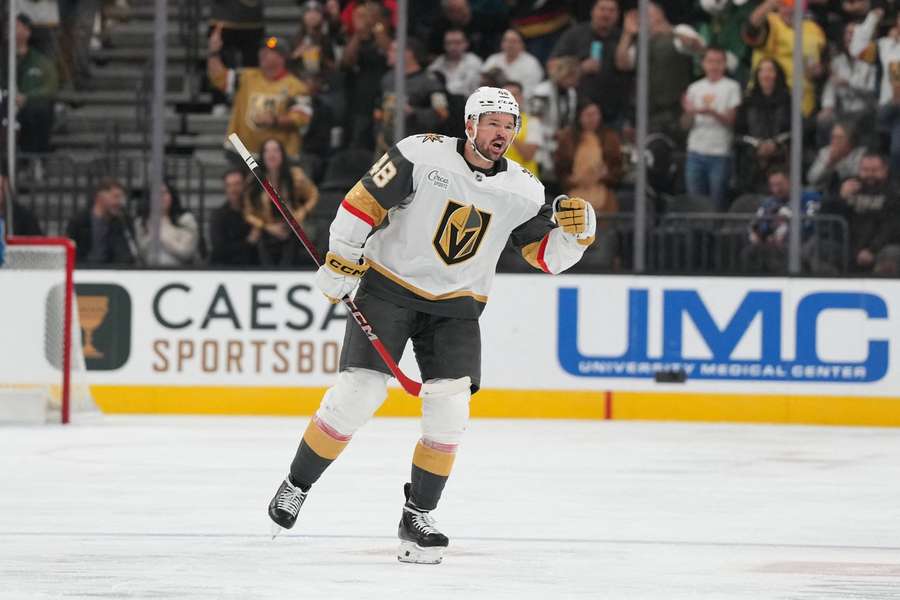 Hertl vstřelil gól do sítě Floridy.