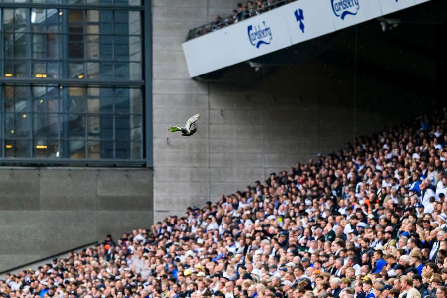 The Parken stadium could set a remarkable record for a women's match in Denmark