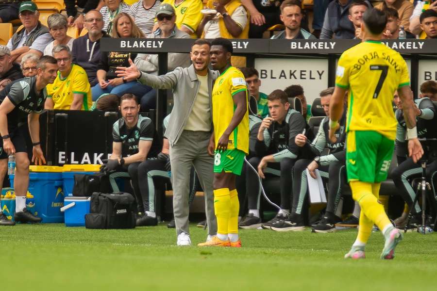 Arsenal hero Wilshere emerges as favourite for Plymouth job amid Muslic fury