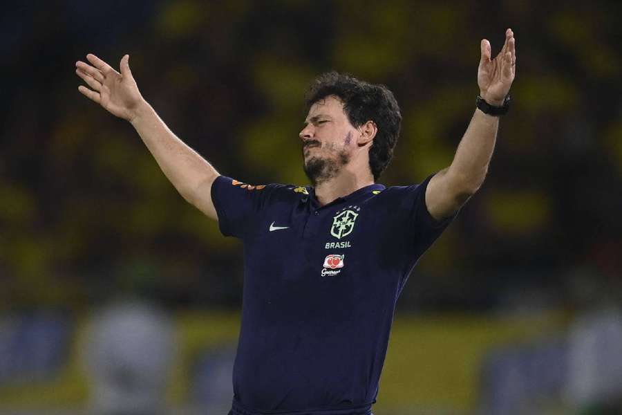 Diniz ainda não conseguiu colocar sua cara na Seleção
