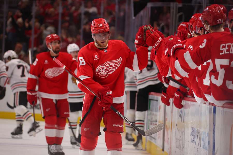 Detroit Red Wings celebrate a goal
