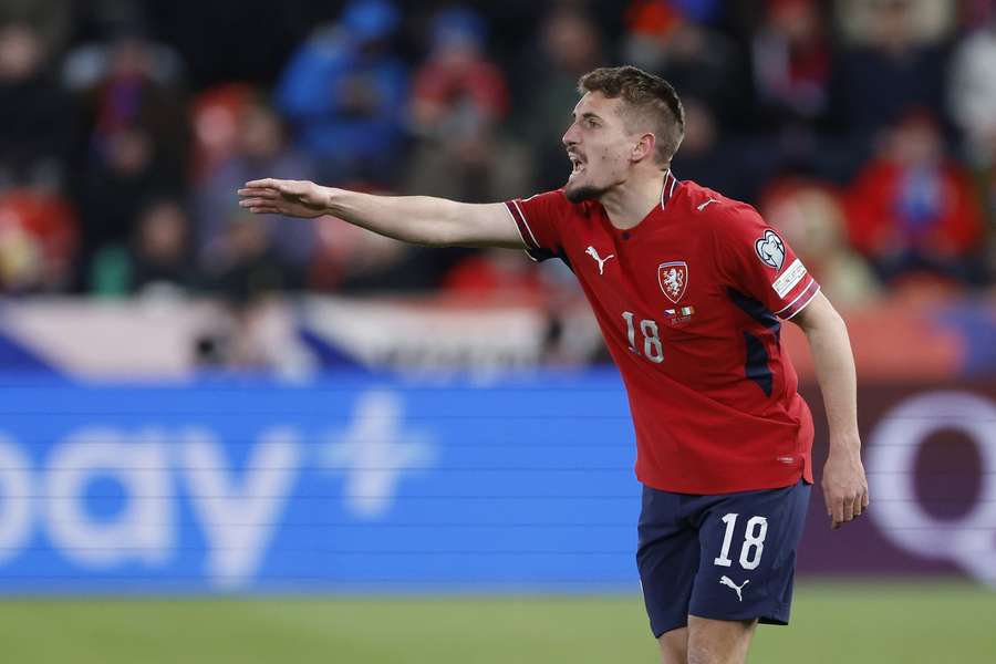 Sadílek měl velký podíl na postupu přes Irsko.