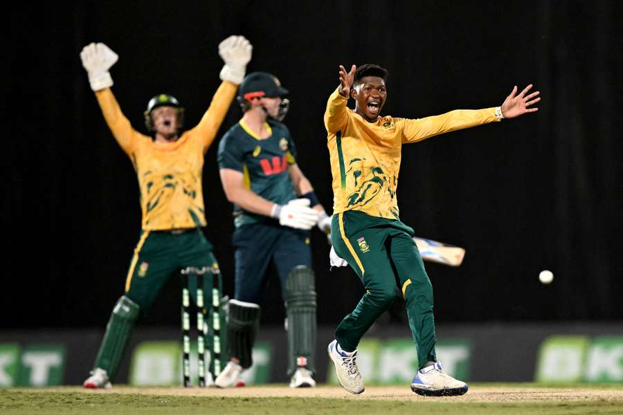 South Africa celebrate taking wicket