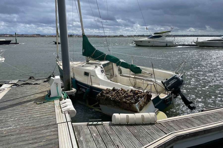 Estragos grandes no Clube de Vela Costa Nova