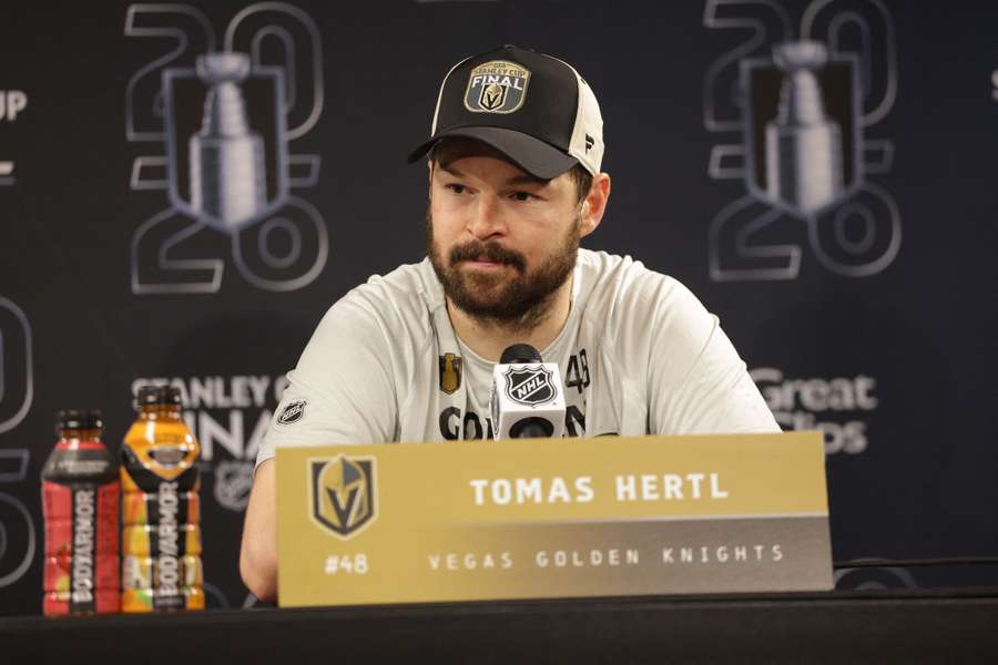 Tomáš Hertl na tiskové konferenci. Tomáš Hertl na tiskové konferenci.