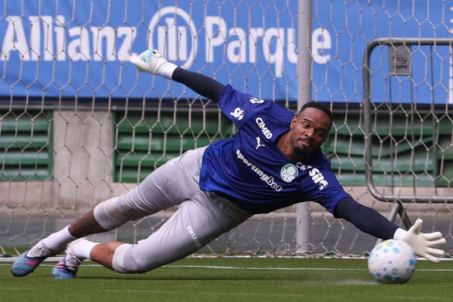 Palmeiras estreia novo gramado do Allianz Parque no próximo domingo