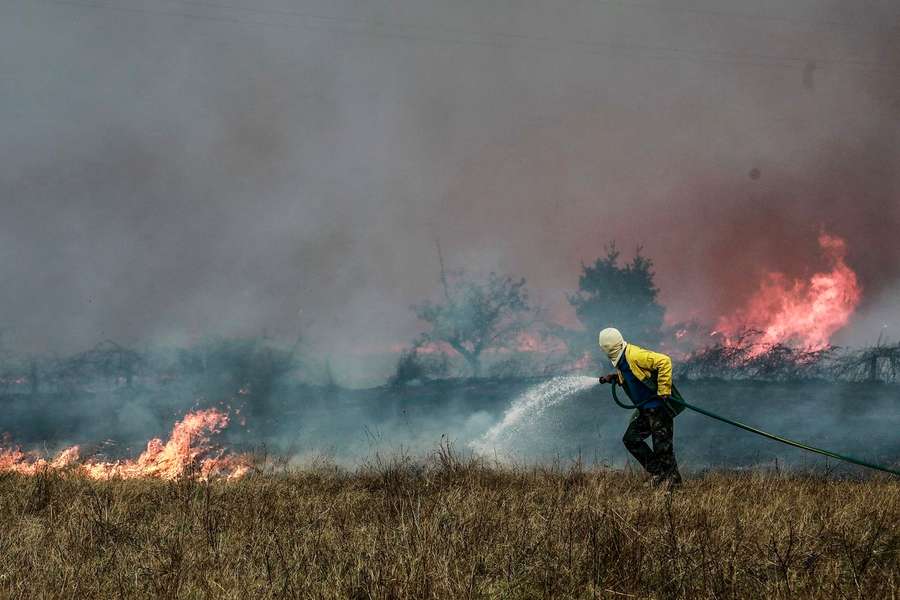 Incêndio em Mangualde, distrito de Viseu