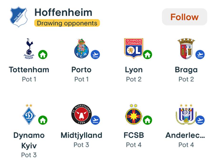 Adversari Hoffenheim