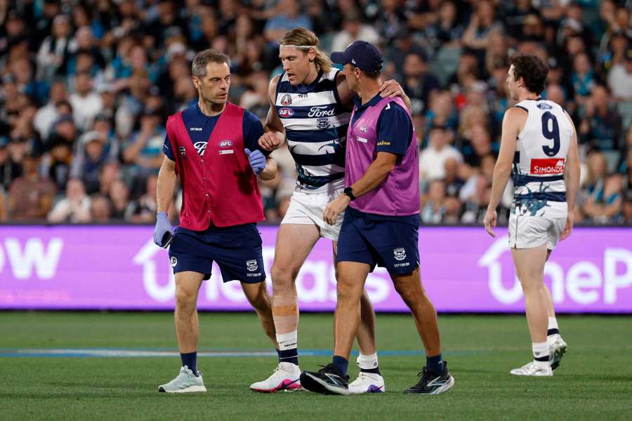 Geelong regain veteran Mark Blicavs from the injury he sustained three weeks ago.