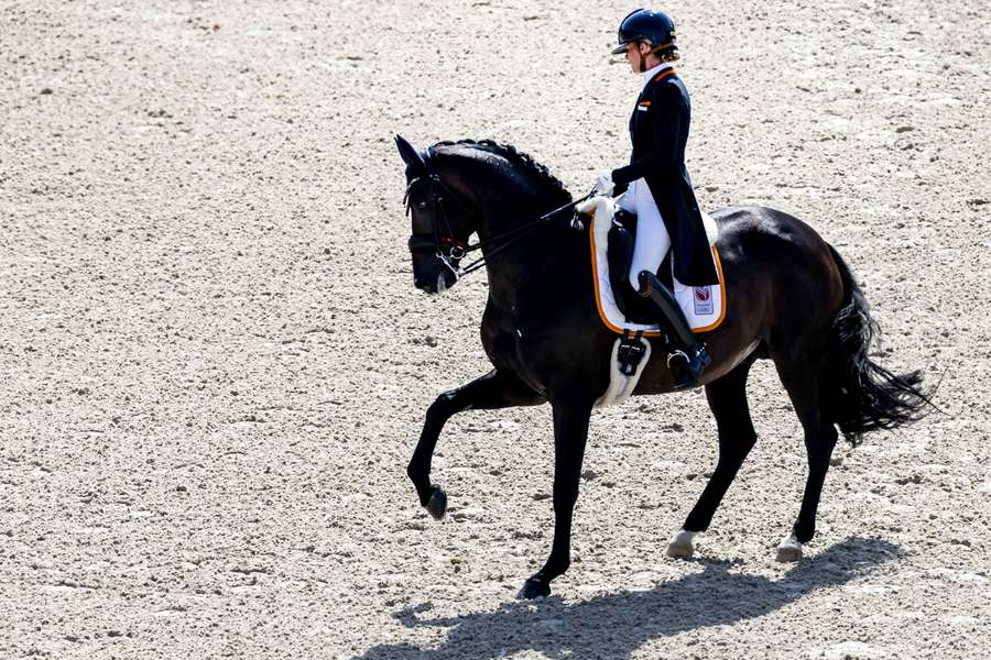 Dinja van Liere met paard Hermes