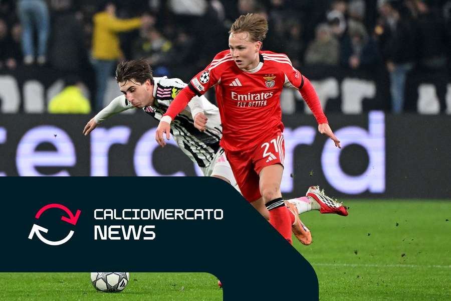 Andreas Schjelderup Andreas Schjelderup