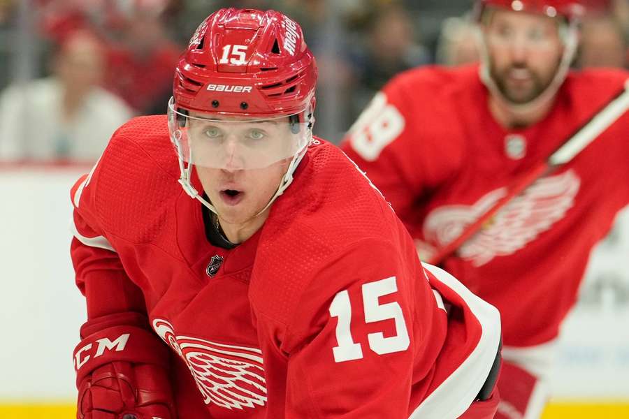 Jasno v případu Vrána, český útočník musí do pomocného programu NHL