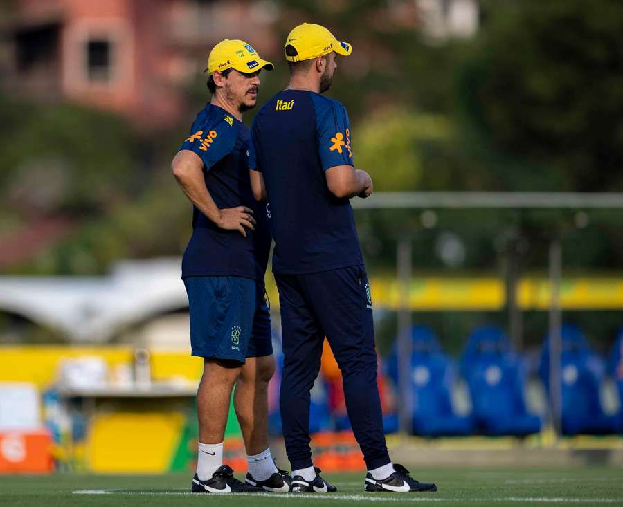 Fernando Diniz tem recebido críticas após resultados recentes da Seleção