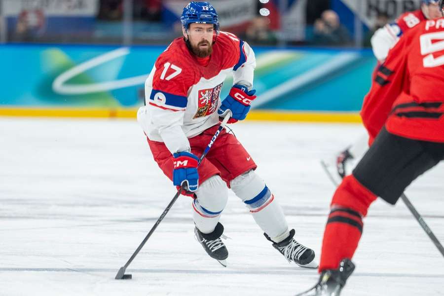 Hronek hrál i na nedávných ZOH.