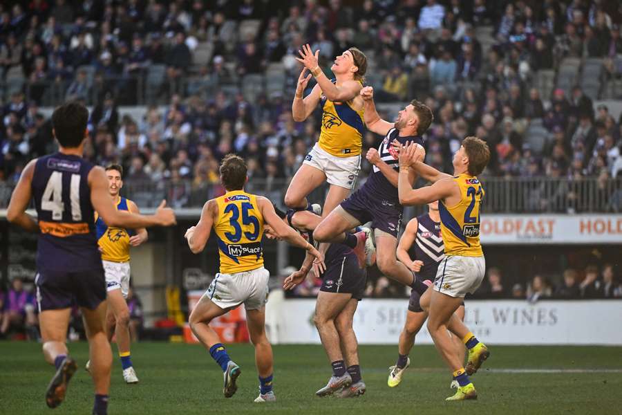 Get used to seeing more of this! Harley Reid rises above pack against Fremantle in the Round 20 derby.