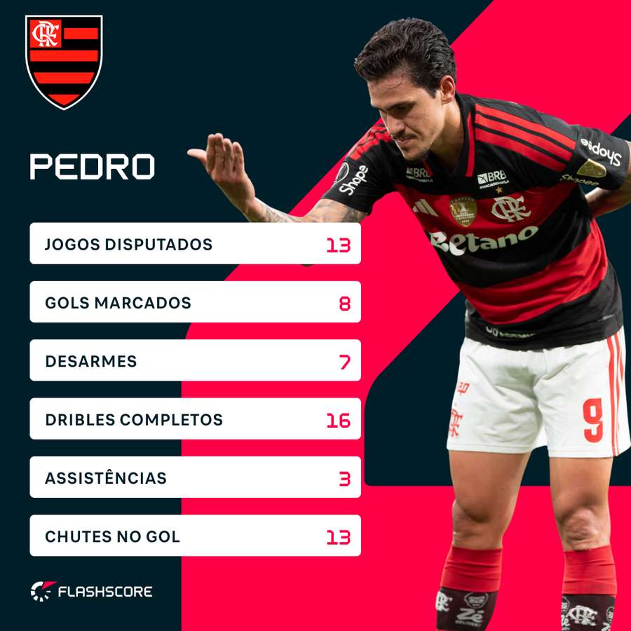 Números de Pedro no Brasileirão 2026