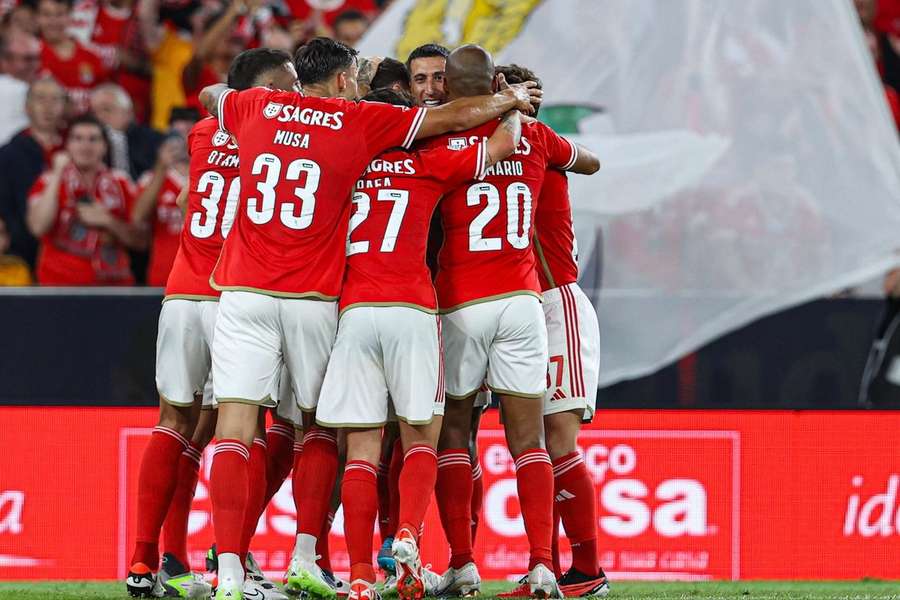SAD encarnada volta a apresentar lucro