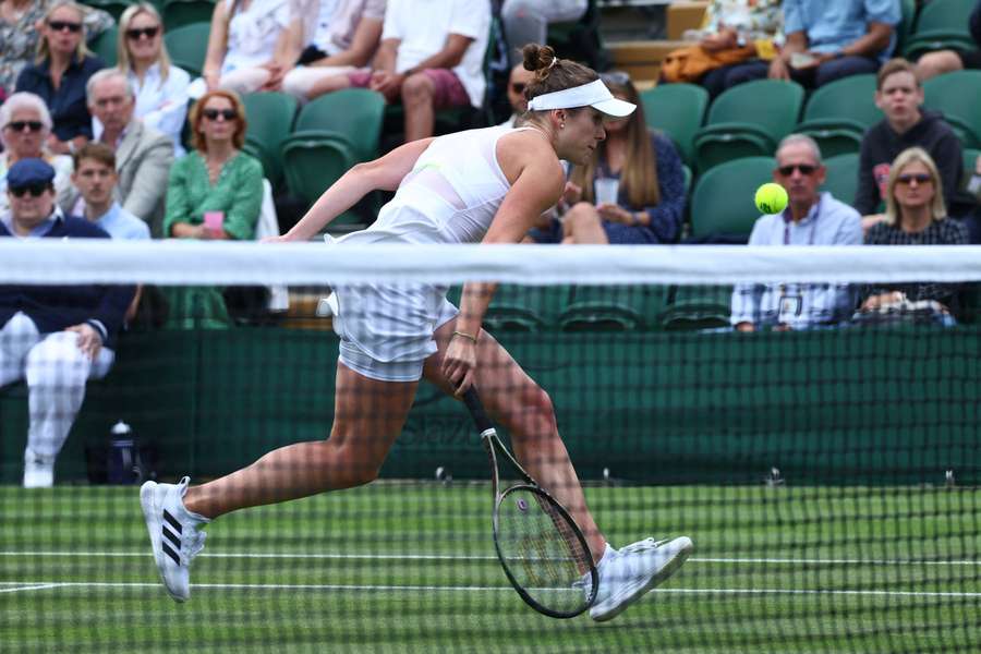 Elina Svitolina made it to the French Open quarter-finals earlier in the summer