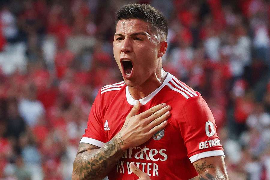Enzo trocará o Benfica pelo Chelsea