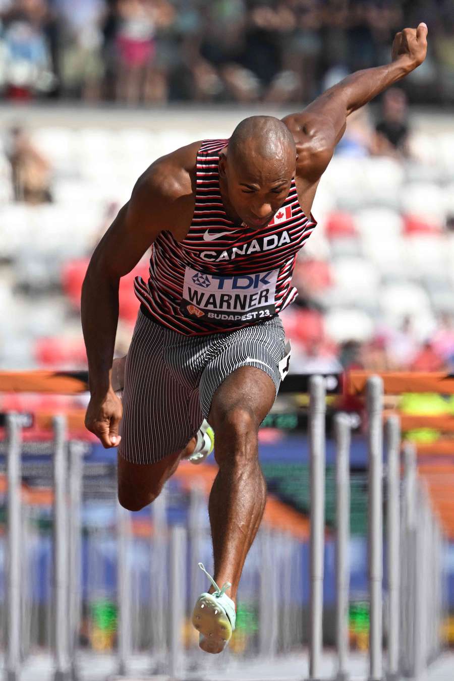 Canada's Damian Warner crosses the finish line in the decathlon 110m hurdles Canada's Damian Warner crosses the finish line in the decathlon 110m hurdles