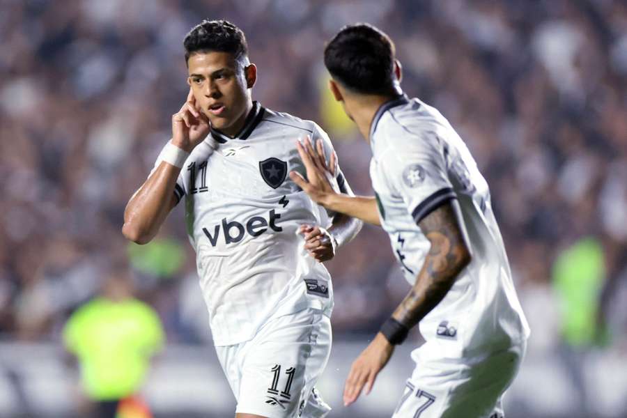Matheus Martins fez o gol da vitória do Botafogo Matheus Martins fez o gol da vitória do Botafogo