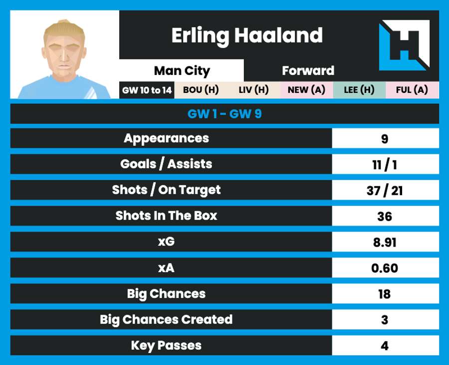 Haaland's stats Haaland's stats