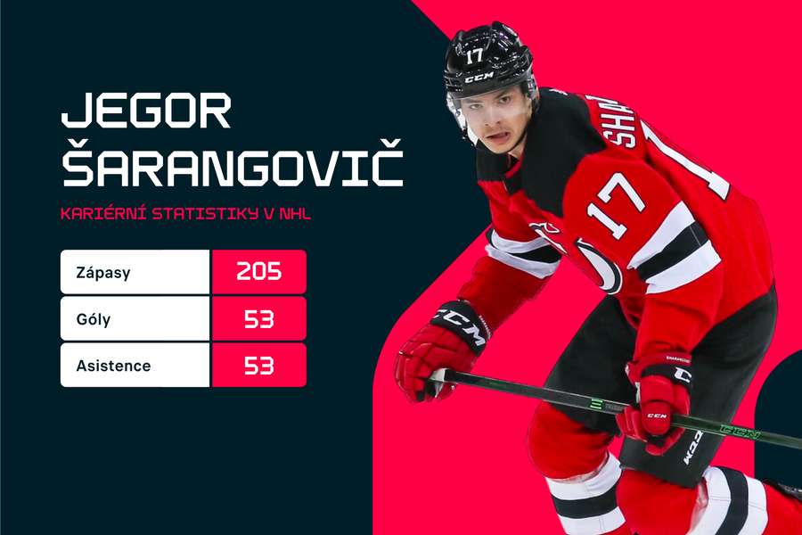 Šarangovič už v NHL odehrál přes 200 zápasů.