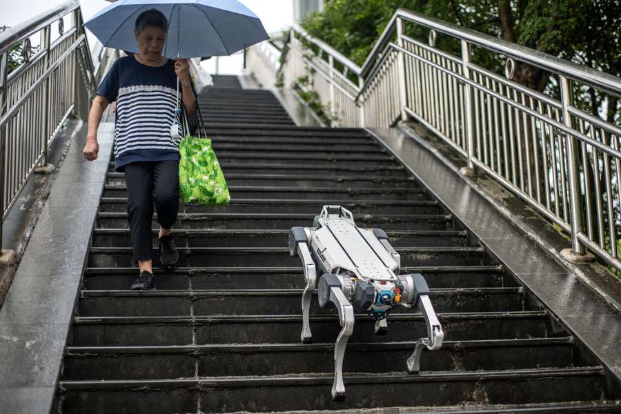 Un perro robot paseando por la ciudad