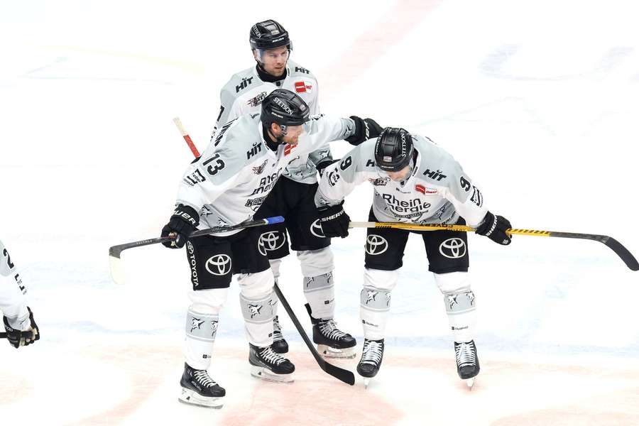 Die Haie geben sich nicht auf