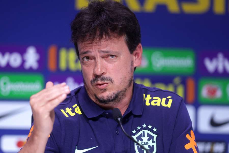 Diniz was appointed as Brazil's head coach on a one-year contract
