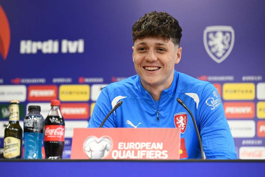 Ladislav Krejčí na tiskové konferenci před Dánskem.