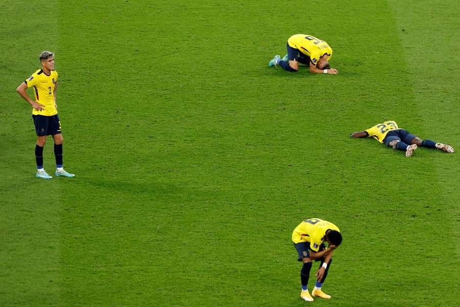 Ecuador players in despair after their World Cup exit