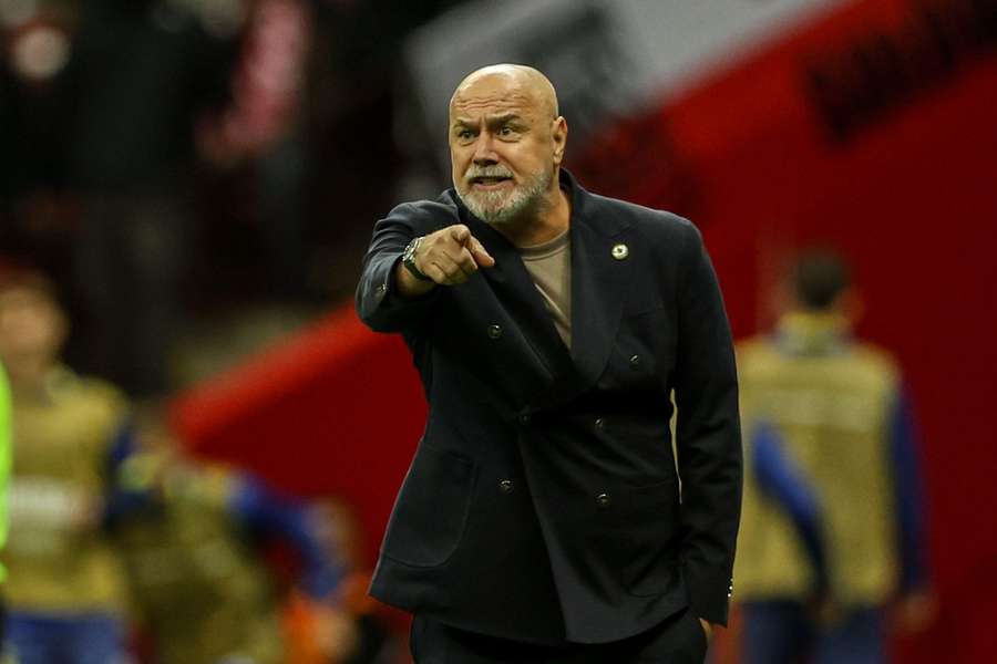 Selecționerul Bosniei-Herțegovina, Sergej Barbarez