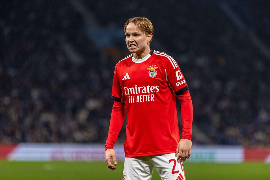 Andreas Schjelderup, extremo do Benfica