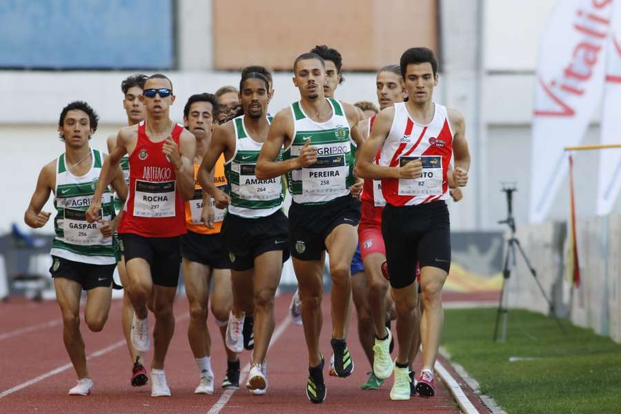 Esperanças do Sporting
